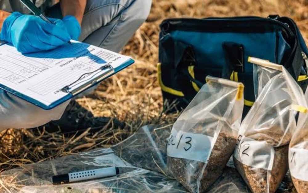 हरियाणा के किसानों को बड़ी सौगात, 1468 करोड़ रुपये होंगे खर्च; नाइट्रोजन जांच के लिए खुलेंगी 52 लैब