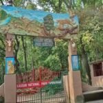 हरियाली की दौड़ में यमुनानगर अव्वल, 60 लाख से ज्यादा पेड़ लगाकर बना नंबर-1 जिला