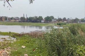 Yamunanagar के जलाशयों पर अतिक्रमण का कब्जा, 592 तालाबों में कचरा, 69 पूरी तरह सूखे