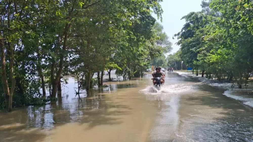 गुरदासपुर में रजबाहा टूटने से बड़ा संकट, सैकड़ों एकड़ फसल जलमग्न, कई गांवों की जलापूर्ति ठप