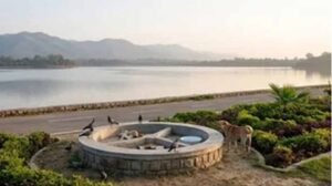 सुखना लेक पर गंदगी रोकने की तैयारी, नगर निगम बनाएगा सामुदायिक पशुओं के 8 फीडिंग प्वाइंट्स