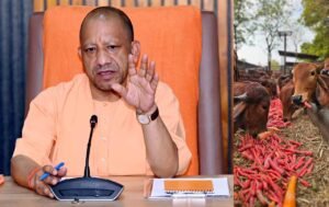 गो सेवा में देश-दुनिया के लिए रोल मॉडल बना यूपी