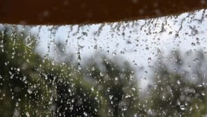 राजस्थान में मॉनसून की दस्तक, जयपुर-कोटा समेत कई जिलों में भारी बारिश का अलर्ट