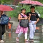 MP Weather: मध्य प्रदेश में बारिश ने पूरा किया 25% कोटा, 32 जिलों में सामान्य से ज्यादा बरसात; पन्ना-सतना में भारी बारिश का अलर्ट