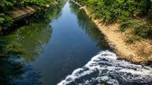 नजफगढ़ ड्रेन का गंदा पानी साफ करने को सरकार बनाएगी 29 नए डीएसटीपी प्लांट जल्द