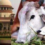 तमिलनाडु में गौहत्या मामले पर सुप्रीम कोर्ट का बड़ा फैसला, HC के आदेश पर रोक हटाई, राज्य सरकार को राहत