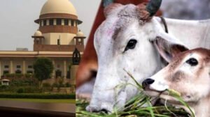 तमिलनाडु में गौहत्या मामले पर सुप्रीम कोर्ट का बड़ा फैसला, HC के आदेश पर रोक हटाई, राज्य सरकार को राहत