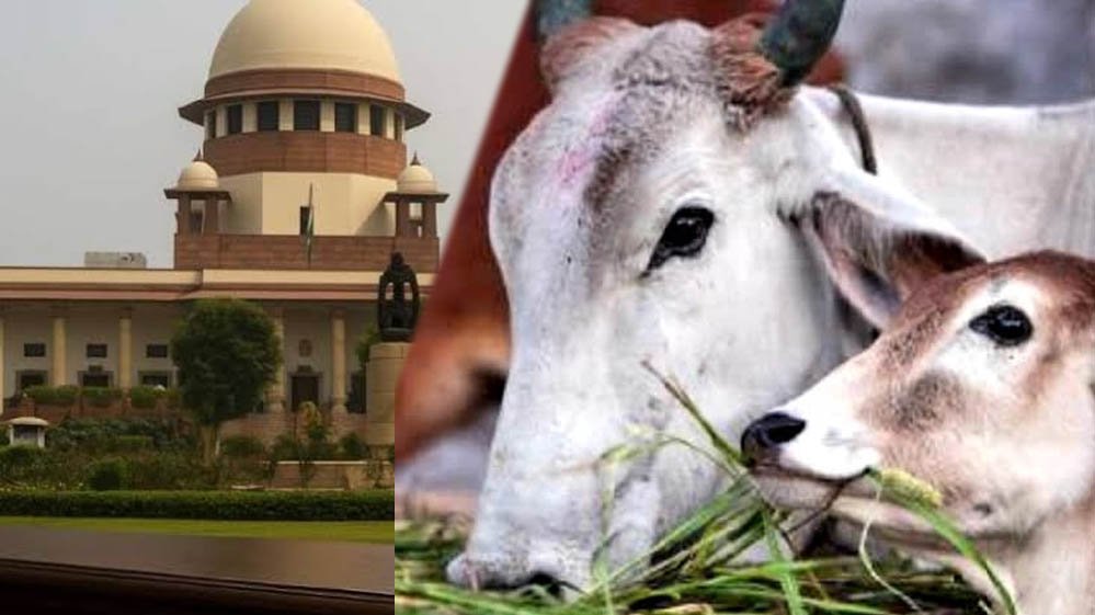 तमिलनाडु में गौहत्या मामले पर सुप्रीम कोर्ट का बड़ा फैसला, HC के आदेश पर रोक हटाई, राज्य सरकार को राहत