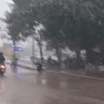Punjab Weather: 4 जिलों से मानसूनी बादल गायब, मोहाली-जालंधर में झमाझम बारिश, नहर में डूबे 2 लड़के