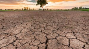 MP Weather: 33 जिलों में सामान्य से कम बारिश, किसानों की बढ़ी चिंता; फिलहाल भारी बारिश के संकेत नहीं