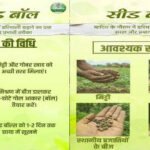 सीड बॉल अभियान- हरियाली बढ़ाने का सरल और प्रभावी माध्यम