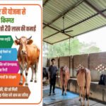 योगी सरकार की योजना से बदली किस्मत, डेयरी से सालाना हो रही 20 लाख की कमाई