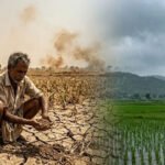 Punjab Weather: 126 साल में सबसे सूखा मानसून! 38% कम बारिश से धान की फसल पर गहराया संकट