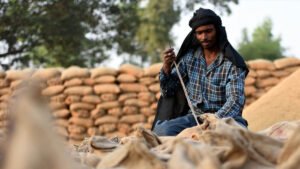 रोजगार में लुधियाना नंबर-1, श्रमिक अनुपात में दिल्ली-फरीदाबाद को छोड़ा पीछे; 63% नियमित वेतनभोगी