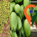 देश में पहली बार एक साथ 12 उद्यानिकी फसलों को म‍िला जी आई टैग