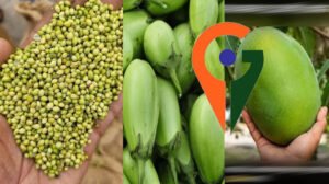 देश में पहली बार एक साथ 12 उद्यानिकी फसलों को म‍िला जी आई टैग