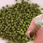 मूंग किसानों की हुई बल्ले-बल्ले! प्रदेश में रेट ₹500 प्रति क्विंटल बढ़े, सरकार की बढ़ी चिंता