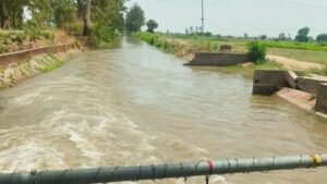 भाखड़ा नहरों ने बदली हरियाणा की तकदीर, सूखे खेतों से बना देश का कृषि पावरहाउस