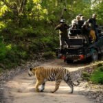 वन, वन्यजीव और पर्यावरण कानूनों के प्रभावी क्रियान्वयन के लिए न्यायिक एवं प्रशासनिक समन्वय ज़रूरी