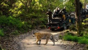 वन, वन्यजीव और पर्यावरण कानूनों के प्रभावी क्रियान्वयन के लिए न्यायिक एवं प्रशासनिक समन्वय ज़रूरी