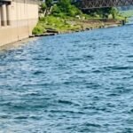 झारखंड के डैमों में घटा जलस्तर, बारिश की कमी से बढ़ी चिंता