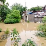 CG Flood: महानदी की बाढ़ से गांव जलमग्न, SDRF ने 6 लोगों को सुरक्षित निकाला