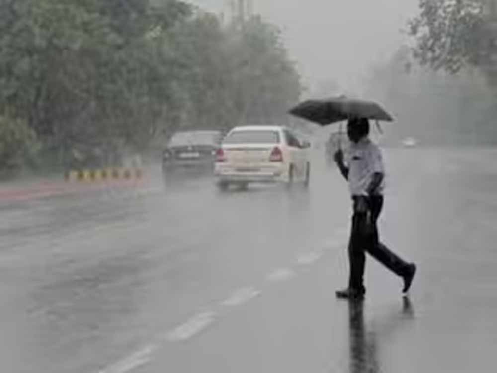 छत्तीसगढ़ में मानसून होगा और सक्रिय, अगले 24 घंटे भारी बारिश का अलर्ट जारी