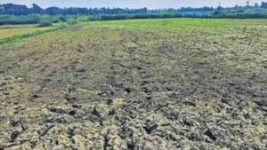 बस्तर संभाग में बारिश की बेरुखी से बढ़ी सूखे की चिंता, किसान परेशान