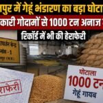 जबलपुर में गेहूं भंडारण का बड़ा घोटाला, दो सरकारी गोदामों से 1000 टन अनाज गायब