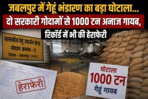 जबलपुर में गेहूं भंडारण का बड़ा घोटाला, दो सरकारी गोदामों से 1000 टन अनाज गायब