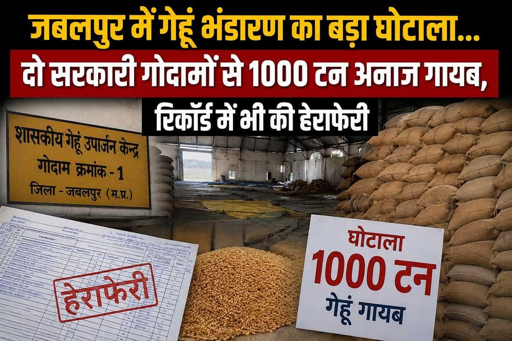 जबलपुर में गेहूं भंडारण का बड़ा घोटाला, दो सरकारी गोदामों से 1000 टन अनाज गायब