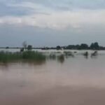 कुरुक्षेत्र में बाढ़ का कहर, फसलें तबाह, बढ़ते खतरे से सहमे ग्रामीण