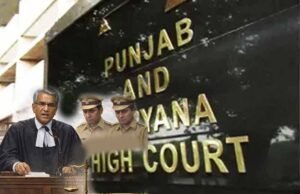 पंजाब-हरियाणा हाईकोर्ट का बड़ा फैसला, अनुमान या संदेह के आधार पर अधिकारियों पर टिप्पणी नहीं