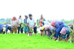 कृषि कार्यों में शामिल हुए शिक्षा मंत्री गजेन्द्र यादव