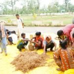 सुकमा में मशरूम उत्पादन का प्रशिक्षण बना आत्मनिर्भरता की नई राह