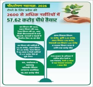 रोपने के लिए प्रदेश की 2600 से अधिक नर्सरियों में 57.62 करोड़ पौधे तैयार
