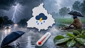Punjab Weather: उत्तर और मध्य जिलों में 4 दिन बारिश का अलर्ट, दक्षिण-पश्चिम में उमस करेगी परेशान