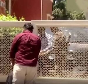 फिरोजपुर में प्रॉपर्टी डीलर के घर ED की बड़ी कार्रवाई, सुबह से बंद दरवाजों के भीतर चल रही रेड