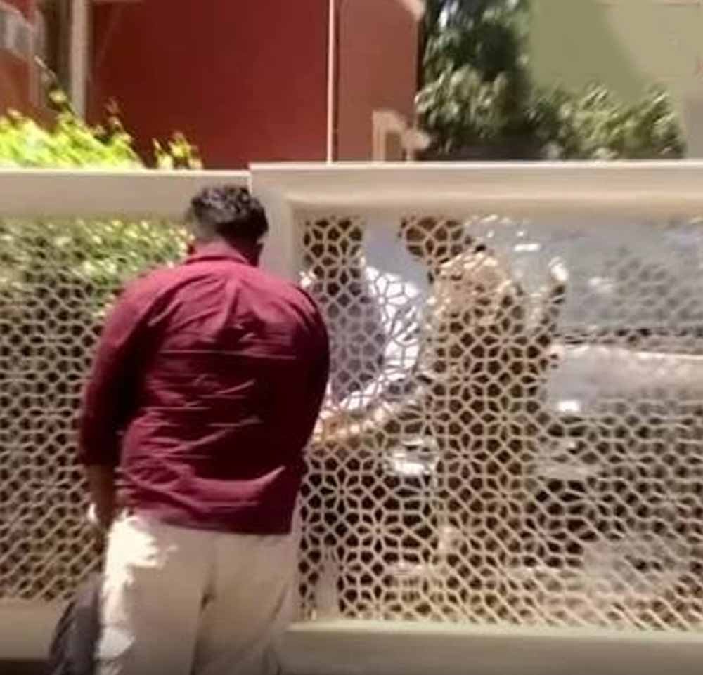 फिरोजपुर में प्रॉपर्टी डीलर के घर ED की बड़ी कार्रवाई, सुबह से बंद दरवाजों के भीतर चल रही रेड