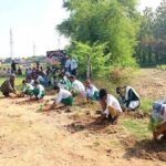 Chandigarh News: ग्रीनरी बढ़ाने की मुहिम, विद्यार्थियों और स्वयंसेवकों ने लगाए 5,000 पौधे