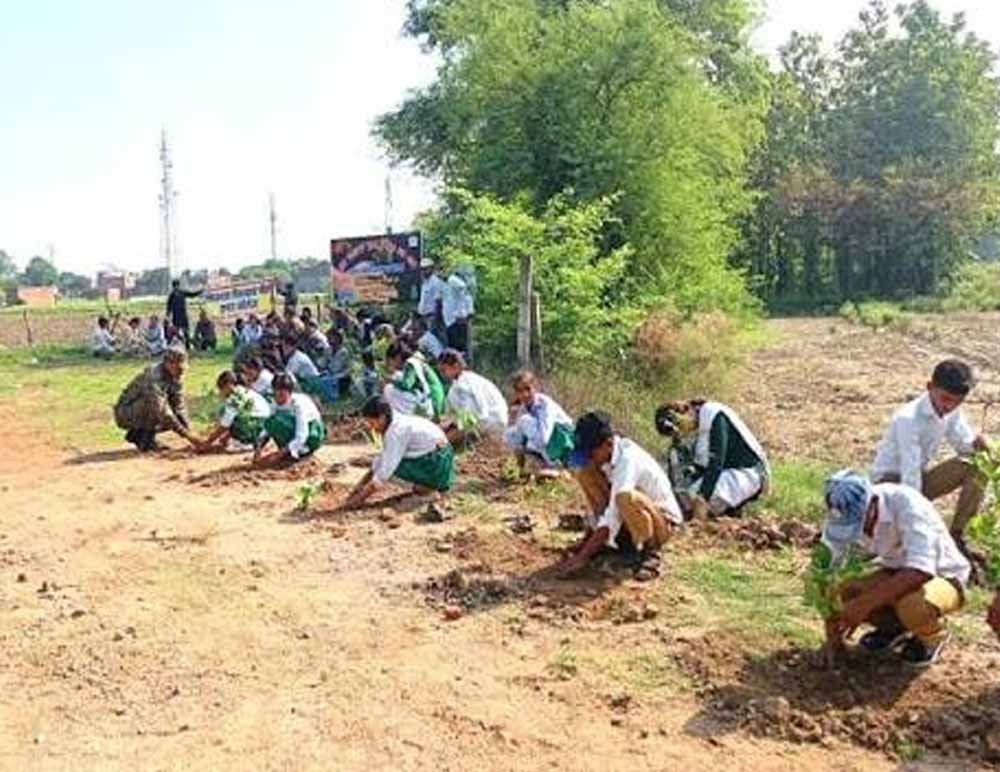 Chandigarh News: ग्रीनरी बढ़ाने की मुहिम, विद्यार्थियों और स्वयंसेवकों ने लगाए 5,000 पौधे