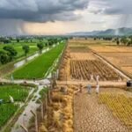 23% कम बारिश के साथ रेड जोन में पंजाब, कल से फिर कमजोर पड़ेगा मानसून