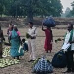 तेन्दूपत्ता संग्राहकों के खातों में पहुंचने लगी बोनस राशि