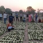 साय सरकार के सुशासन में तेन्दूपत्ता संग्राहकों को मिली आर्थिक मजबूती, 10,160 हितग्राहियों के खातों में पहुँची 1.39 करोड़ रुपये से अधिक की बोनस राशि