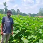 उद्यानिकी विभाग की योजना से बदली कमार कृषक की तकदीर