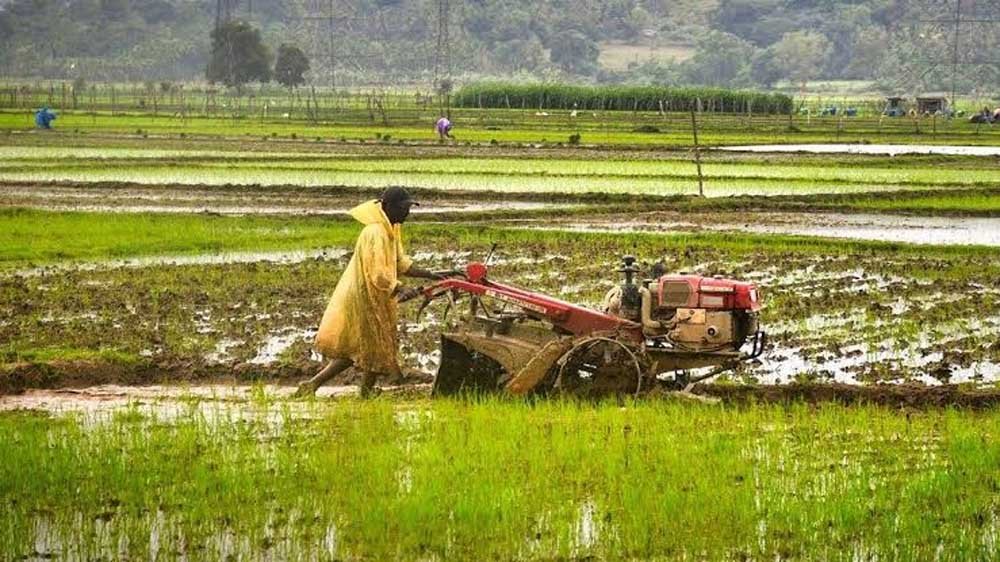 ​धमतरी में कृषि क्रांति: 22 नई सहकारी समितियों से किसानों की राह आसान