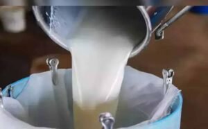 योगी सरकार की योजना से बदली किस्मत, डेयरी से सालाना हो रही 20 लाख की कमाई