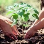 एक पेड़ मां के नाम 3.0′ से हरित चेतना को मिलेगा नया विस्तार, जुलाई में विद्यालयों में पर्यावरण संरक्षण का महाअभियान
