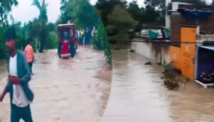 MP में बारिश का रौद्र रूप, भोपाल में रातभर बरसा पानी; 21 जिलों में भारी बारिश का अलर्ट