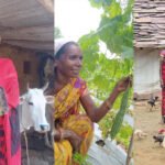 बस्तर के खेतों में बही समृद्धि की बयार